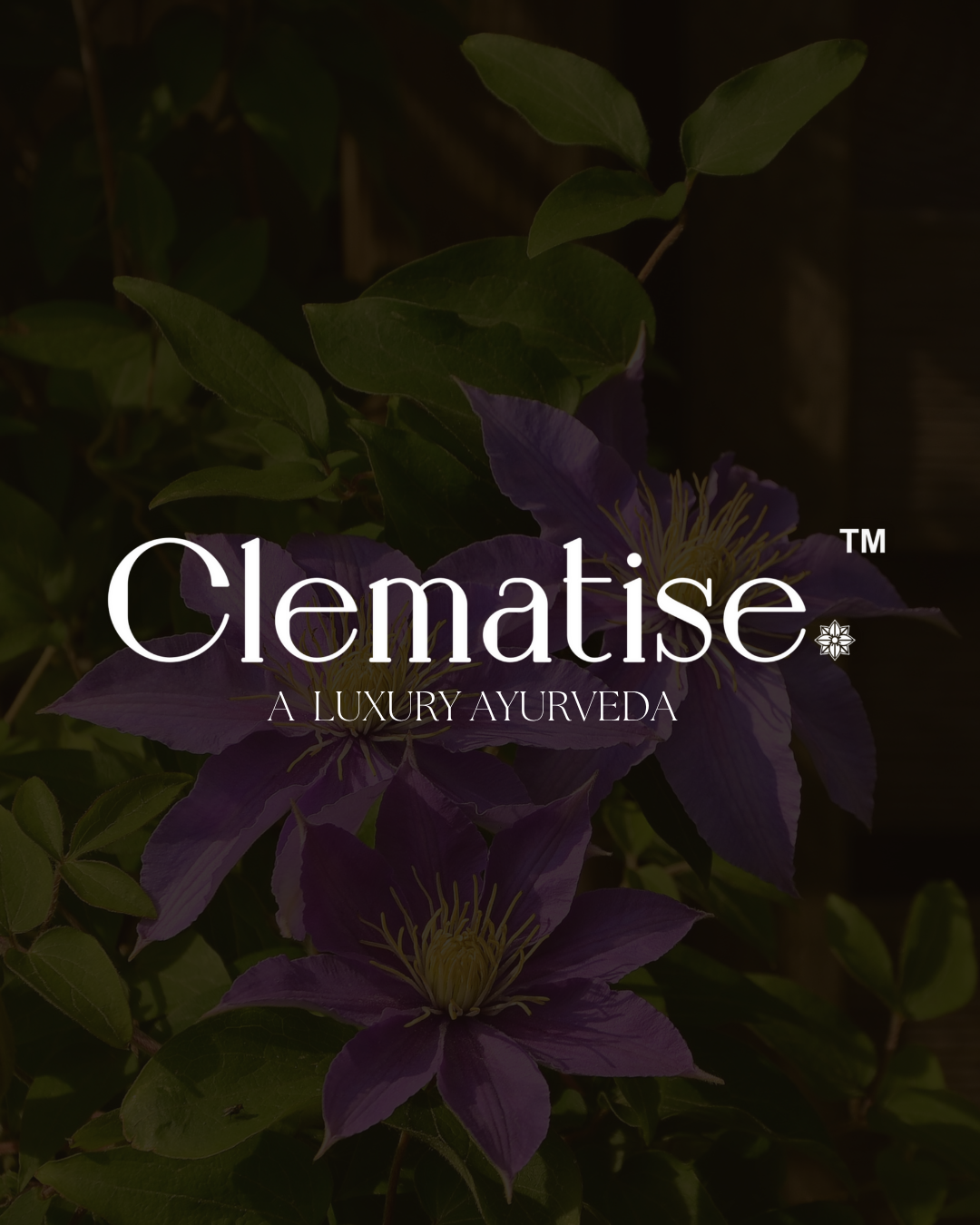 Clematisee banner 1